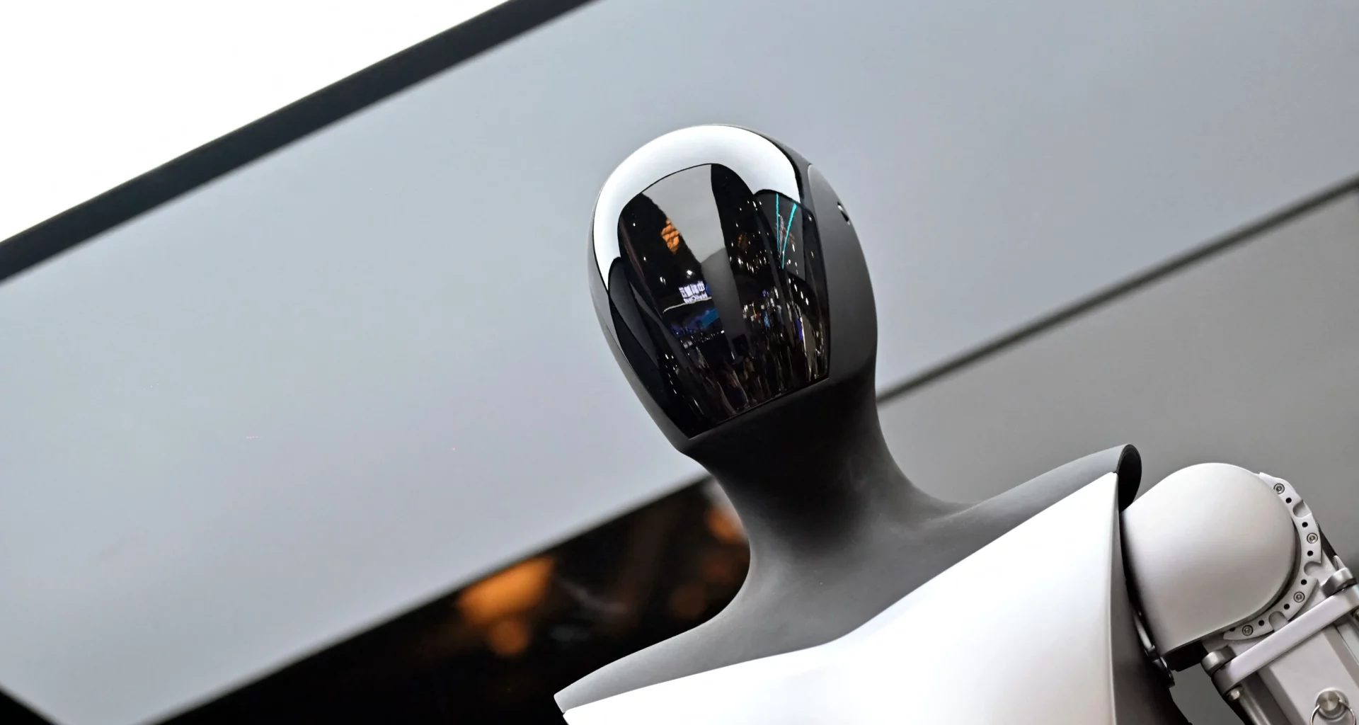 The Rise of Tesla Robots